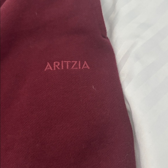 Aritzia burgundy pants - Picture 3 of 6
